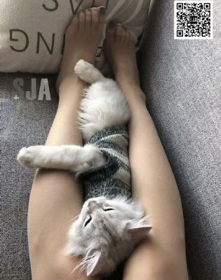 日韩高清不卡在线视频_BD英语免费高清观看